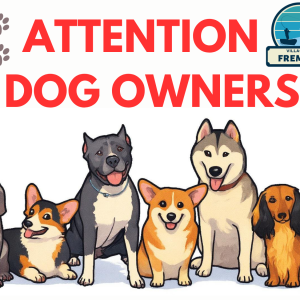 Dog License Registration